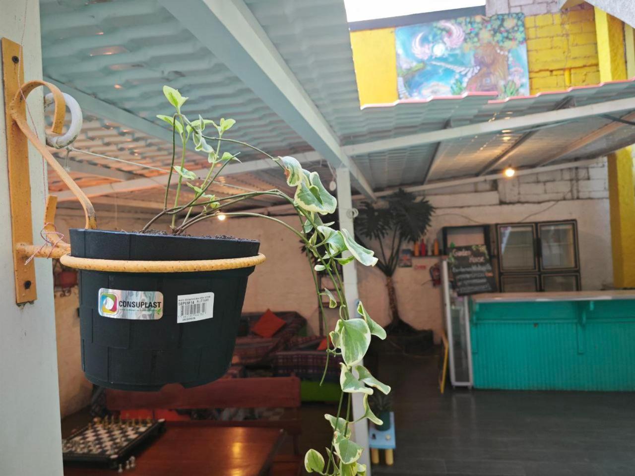 Garden House Hostal 巴尼奥斯 外观 照片