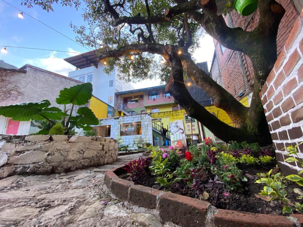 Garden House Hostal 巴尼奥斯 外观 照片