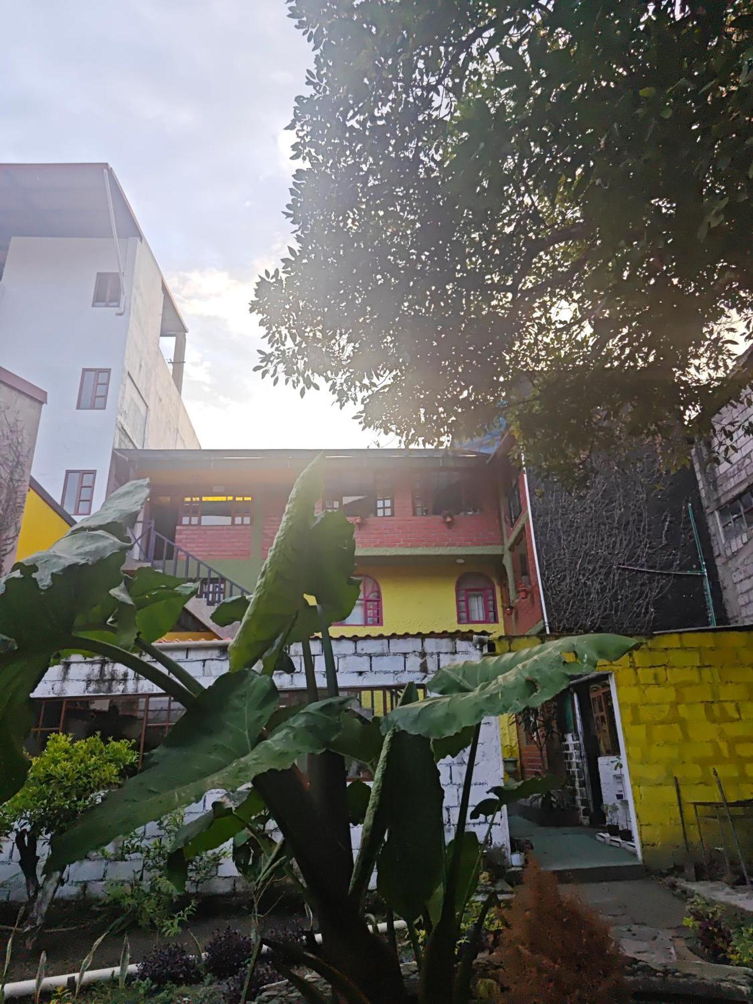 Garden House Hostal 巴尼奥斯 外观 照片