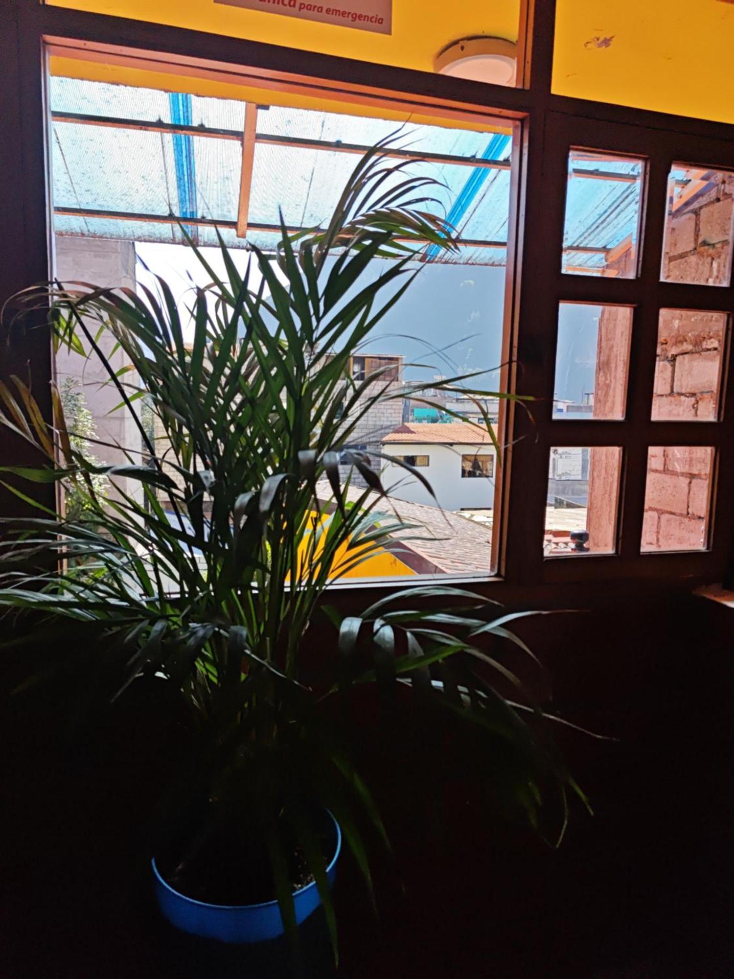 Garden House Hostal 巴尼奥斯 外观 照片