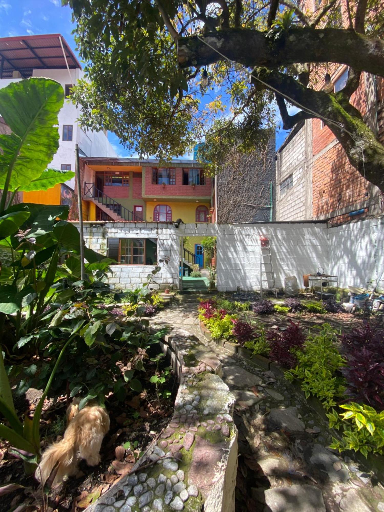 Garden House Hostal 巴尼奥斯 外观 照片